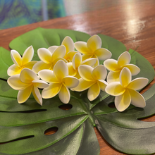 Load image into Gallery viewer, 8.5% bloomed plumeria pick (Lei Hale Okinawa original)