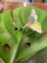 Load image into Gallery viewer, 8.5% bloomed plumeria pick (Lei Hale Okinawa original)