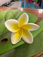 Load image into Gallery viewer, 8.5% bloomed plumeria pick (Lei Hale Okinawa original)