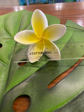 Load image into Gallery viewer, 8.5% bloomed plumeria pick (Lei Hale Okinawa original)