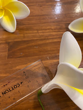 Load image into Gallery viewer, 8.5% bloomed plumeria pick (Lei Hale Okinawa original)