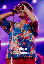 Load image into Gallery viewer, ※Worn by Bruno Mars※ AVANTI Aloha shirt “ROMEO AND JULIET - BLUE”
